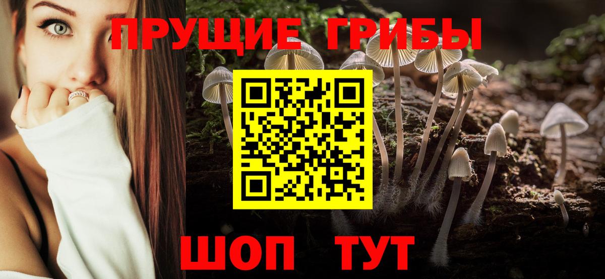 Галлюциногенные грибы Cubensis  Вход с VPN  Майкоп  Псилоцибиновые грибы MAGIC MUSHROOMS 